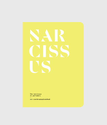 NEZ + LMR the naturals notebook | The Narcissus in Perfumery